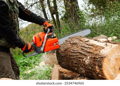 Orange chainsaw on heap firewood outdoors. Professional power saw with black handle and sharp teeth in a rotational chain on guide bar. New cutting tool for wood sawing. Forestry.