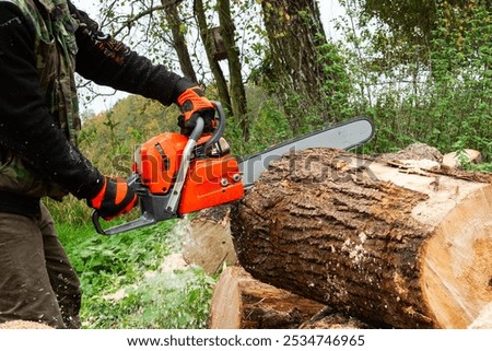 Orange chainsaw on heap firewood outdoors. Professional power saw with black handle and sharp teeth in a rotational chain on guide bar. New cutting tool for wood sawing. Forestry.