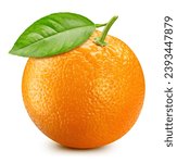 Orange citrus isolated on white background. Orange with clipping path. Orange with leaves