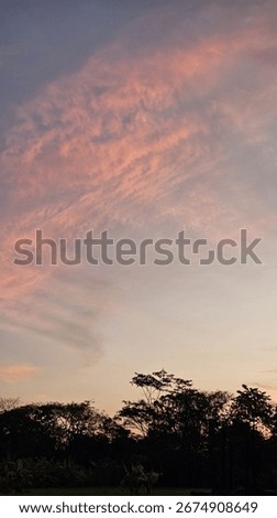 orange clouds in the summer evening 