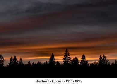 Orange Cloudy Sunset With Silhouette Of Treeline