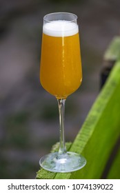 Orange cocktail in a stemware 