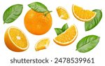 Orange collection. Orange fruit with green leaf isolated on white background. Orange with clipping path