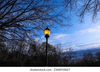 an orange colored light post surrounded by trees with blue sky at Freedom Park in Charlotte North Carolina USA	