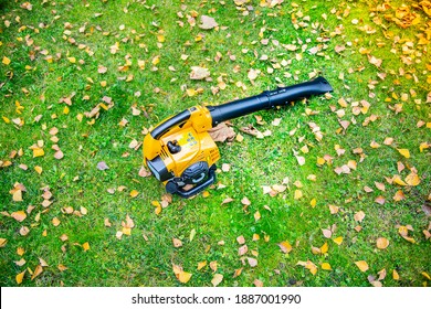 An Orange Cordless, Electric Leaf Blower Lying On A Grass. Autumn, Fall Gardening Works In A Backyard, On A Lawn. Garden Works.