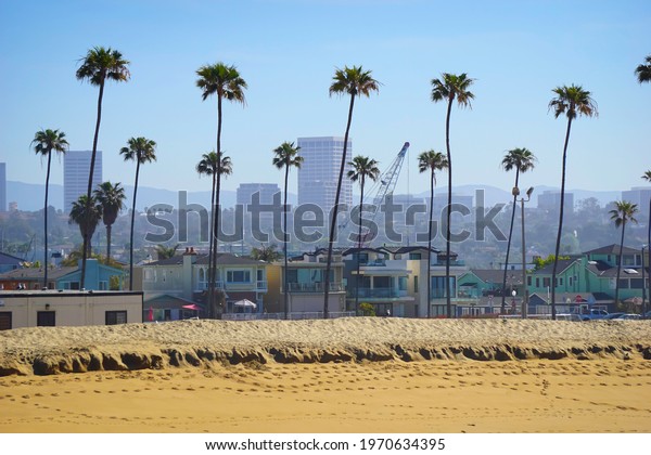 Orange County California Beach Skyline Palm Stock Photo (Edit Now ...