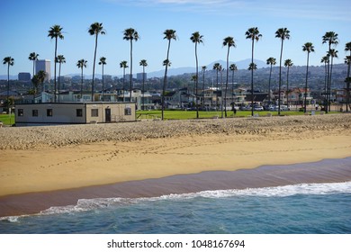  Orange County California Skyline With Palm Trees                             