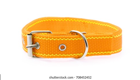 Orange Of Dog Collar Isolated On A White Background