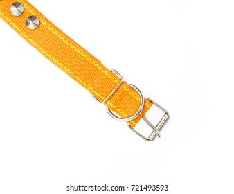 Orange Of Dog Collar Isolated On A White Background