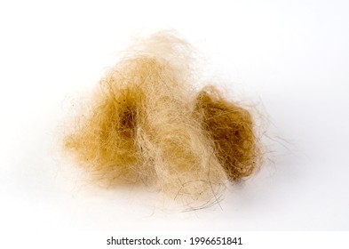 Orange Dog Hair Ball On A White Background. Dead Hair Combed Out Of Pet. Moulting In Animals. Close-up, Selective Focus.