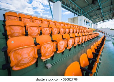 Orange Empty Seat Of Indoor Stadium.