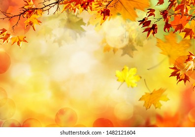 orangefarbene Herbstblätter, natürlicher Hintergrund