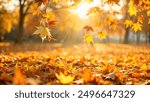 Orange fall leaves in park, autumn natural background