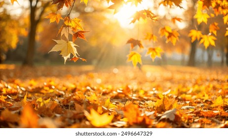 Orange fall leaves in park, autumn natural background