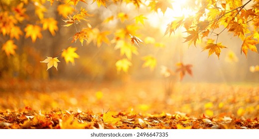 Orange fall leaves in park, autumn natural background - Powered by Shutterstock