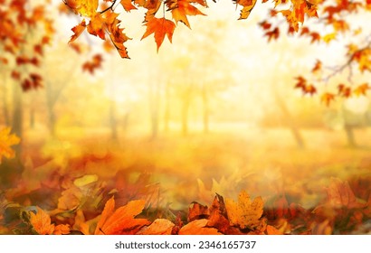 orange fall  leaves in park, sunny autumn natural background  - Shutterstock ID 2346165737