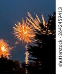 Orange fireworks exploding in blue night sky