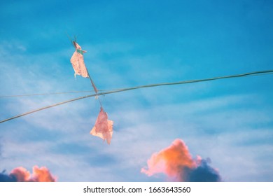 Orange Flag in Electrical Wire
