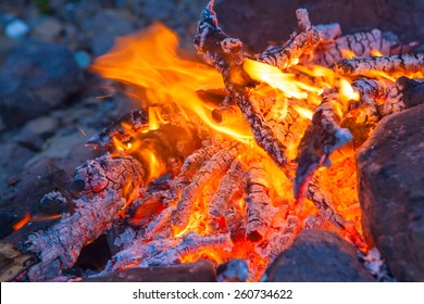 Camp Fire Ring Images Stock Photos Vectors Shutterstock