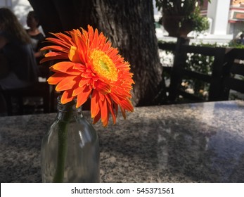 Orange flower