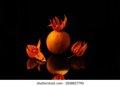 Orange With Flower Crown Isolated Next To Dried Flower Buds