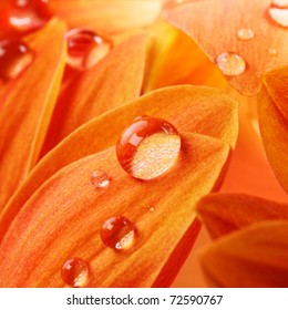 Orange Flower Petals With Water Drops On It