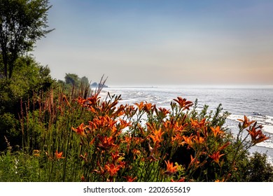 Orange flowers along the Mariners Trail with Lake Michigan in the background from a point between Manitowoc and Two Rivers, Wisconsin. - Shutterstock ID 2202655619
