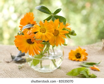 The Orange Flowers Of Calendula In Glass Vase. Selective Focus