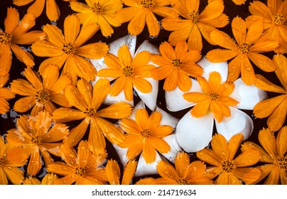 Orange Flowers Floating On Water With A Few Dewdrops