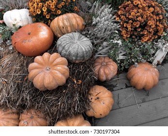 Orange flowers and pumpkins on hay bales  in MOSCOW, RUSSIA - OCTOBER 08 , 2017: Festival Golden autumn in Moscow. 