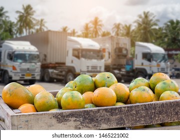 Orange Fruit and food distribution, tropical fruit of Thailand .Truck loaded with containers reefer control by ventilator mode to be shipped to the market.