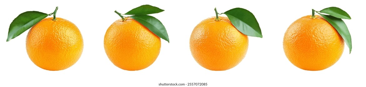 Orange fruit isolated on a white background.