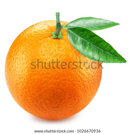 Orange fruit with orange leaves. Clipping path.
