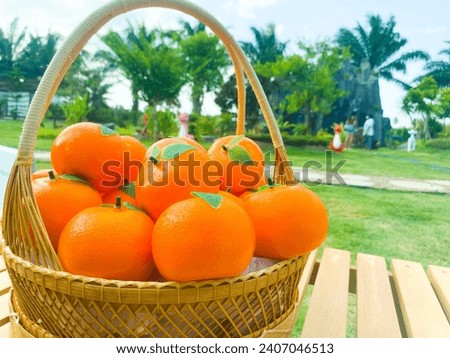 orange fruit Orenge Background Orangefruit