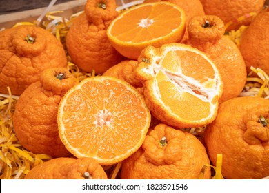 Orange Fruit With Orange Slices And Leaves In Wooden Box, Dekopon Orange Or Sumo Mandarin Tangerine With Leaves In Box Packaging.