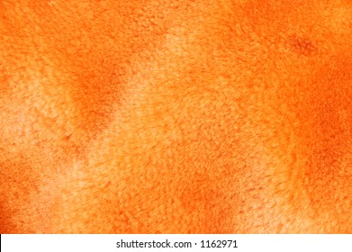 Orange Fur