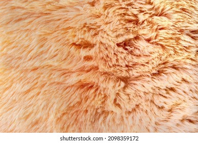 Orange Fur Texture Close-up Abstract Fur Background