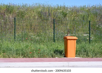 Orange Garbage Can At A Motorway Service Station 