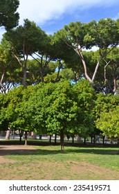 Orange Garden (Giardino Degli Aranci), Rome