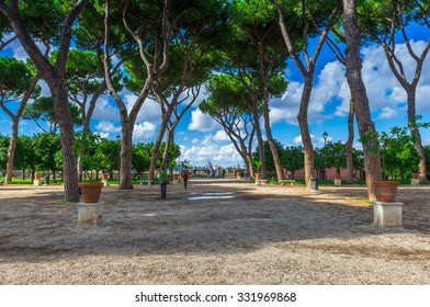 Orange Garden (Parco Savello Giardino Degli Aranci) On The Aventine Hill In Rome. Italy