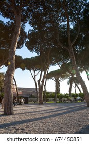 Orange Garden (Parco Savello Giardino Degli Aranci) On The Aventine Hill In Rome. Italy