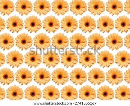 Orange gerbera flowers pattern on light background. Repeating floral texture. Bright botanical design. Decorative spring motif. Cheerful daisy backdrop for textile print and wallpaper.