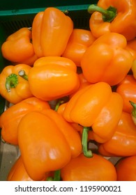 Orange, Green And Yellow Sweet Mix Bell Peppers Close Up Bulgarian Pepper Fresh, Assorted Colorful Capsicum Paprika On A Counter In The Supermarket.