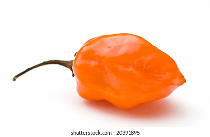 An Orange Habanero Hot Chili Pepper On A White Background.