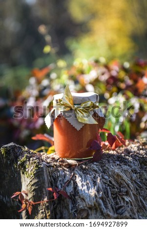 Orange jam in the jar
