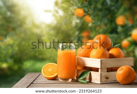 Orange juice with fresh orange in in wooden crate in orange farming background.