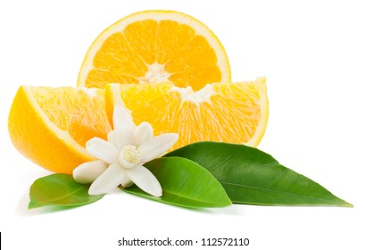 Orange, leaf,  blossom and slice isolated on a white background.