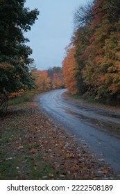 Orange Leaves Autumn Country Side Trees Changing Season