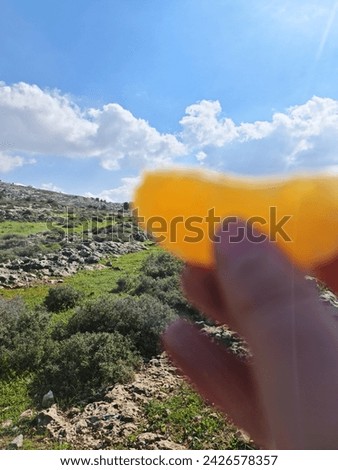 an orange. Lemon. Refreshing. forest. background . green. a clear sky . clouds . picnic . garden abandoned, anamur, anamurium, ancient, antique, archeology, architecture, bay, beach, broken, building,
