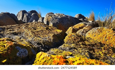 Orange lichen covered boulders crowd together at the beach. - Powered by Shutterstock